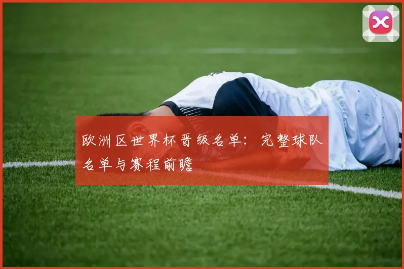 欧洲区世界杯晋级名单：完整球队名单与赛程前瞻
