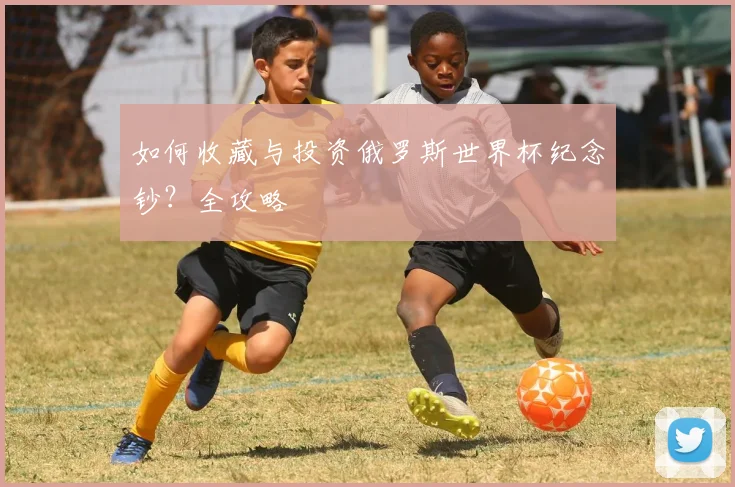 如何收藏与投资俄罗斯世界杯纪念钞？全攻略